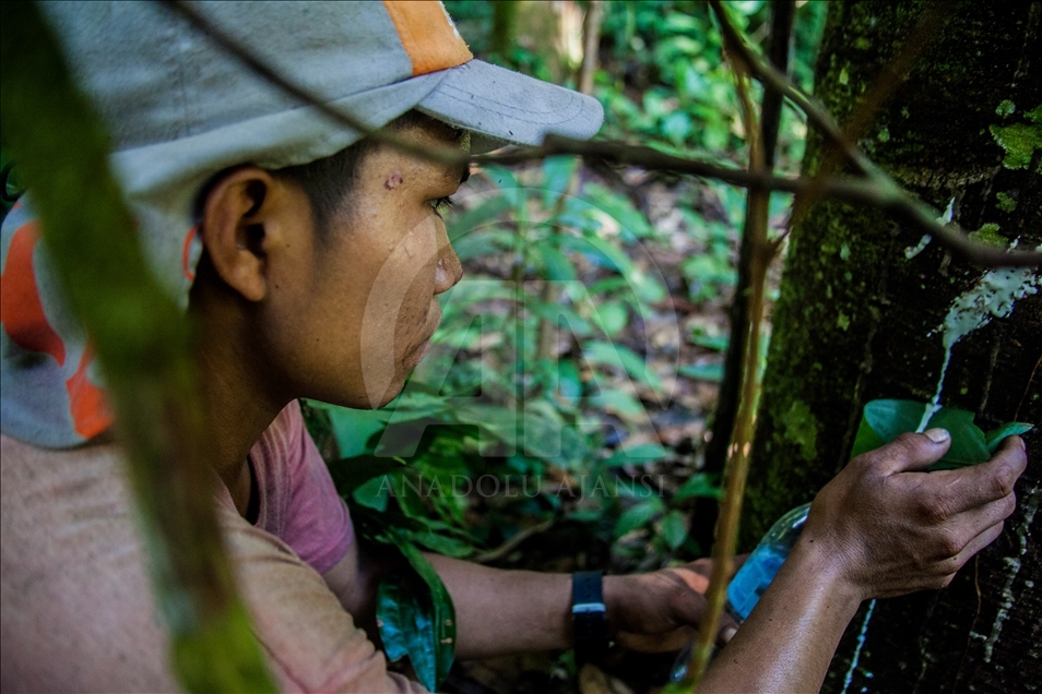 THE AMAZON LIFE THAT FEW KNOW