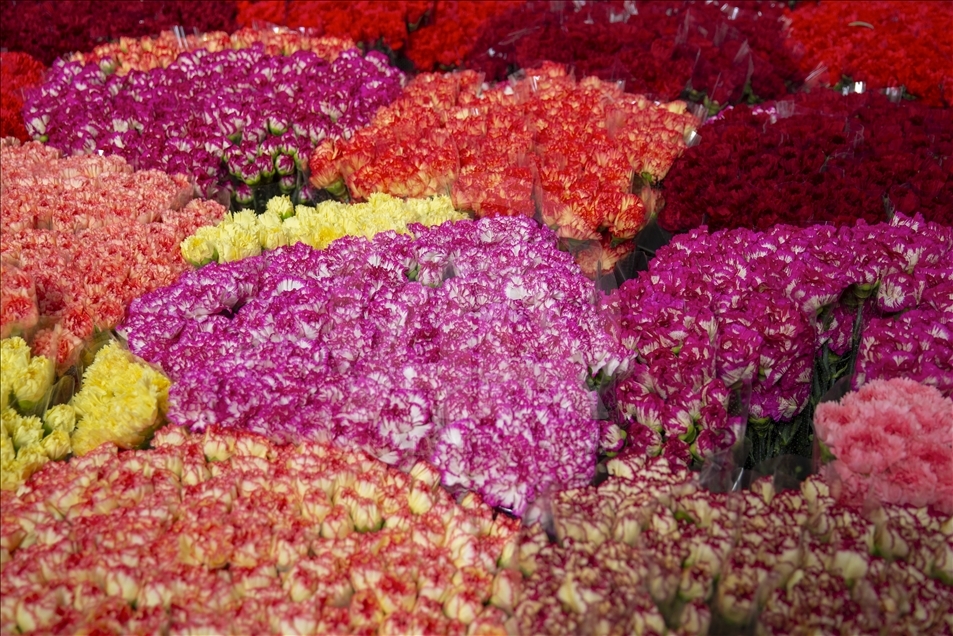 افزایش صادرات گل ترکیه در آستانه روز جهانی زن
