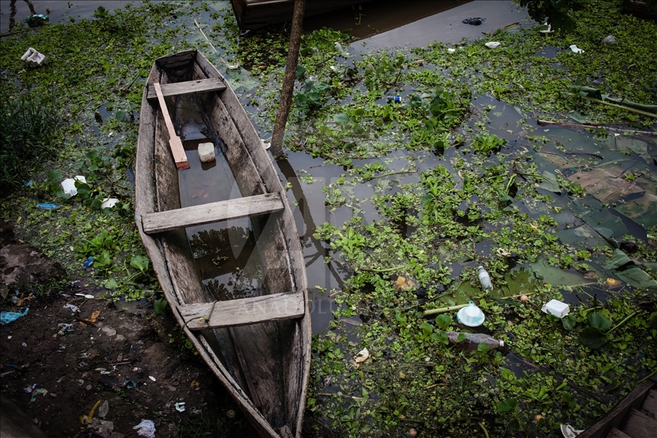 THE AMAZON LIFE THAT FEW KNOW