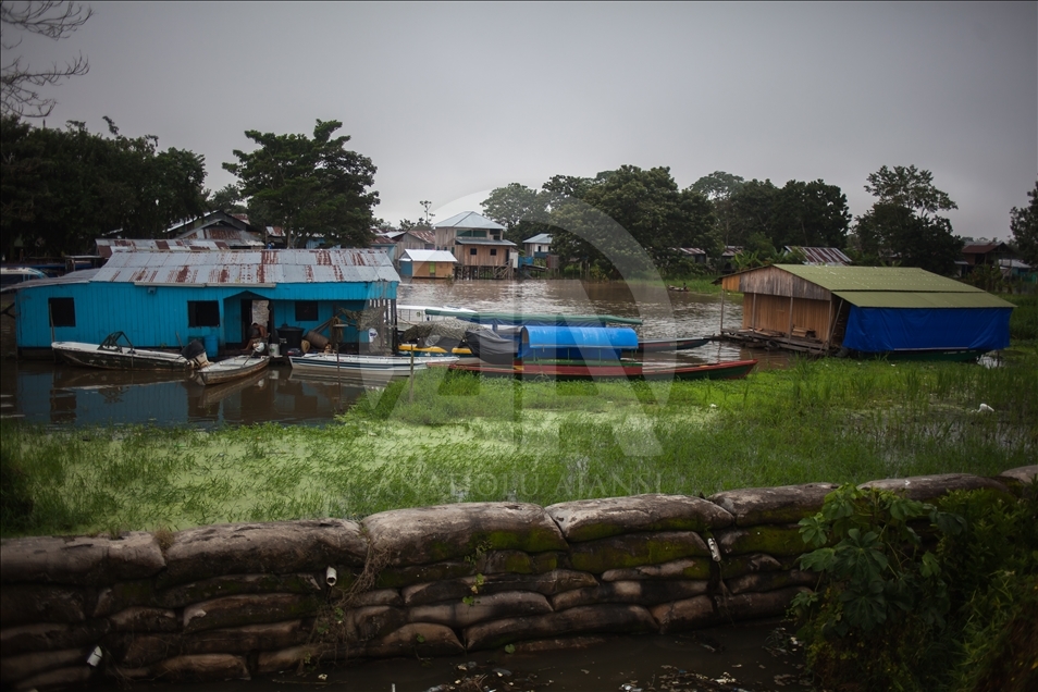 THE AMAZON LIFE THAT FEW KNOW