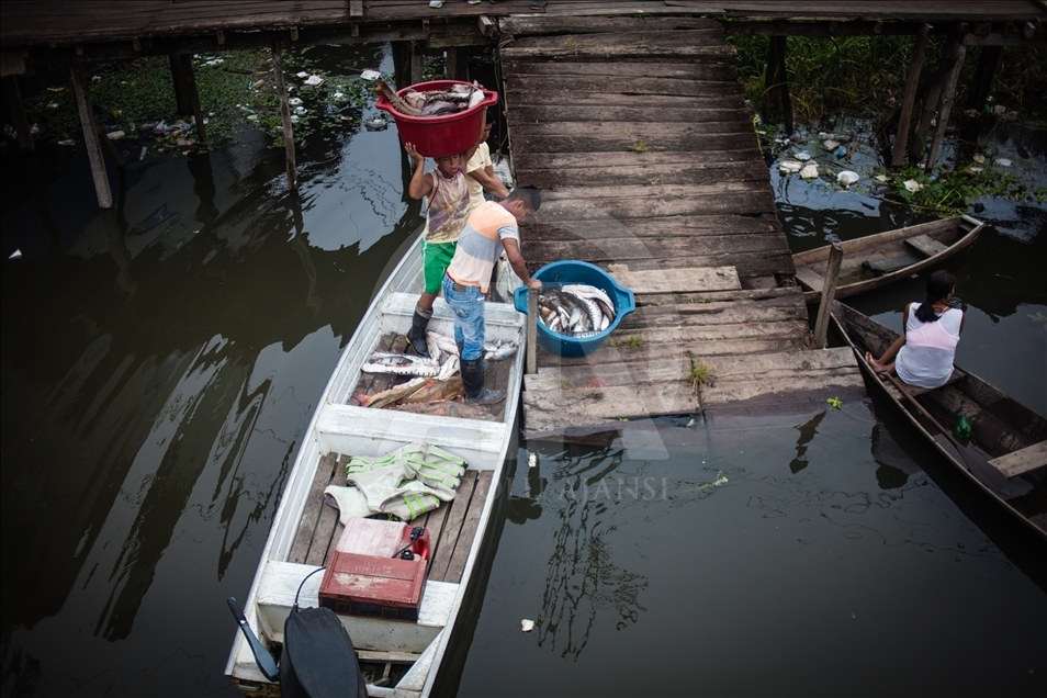 THE AMAZON LIFE THAT FEW KNOW