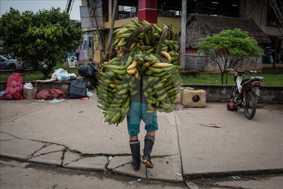 THE AMAZON LIFE THAT FEW KNOW