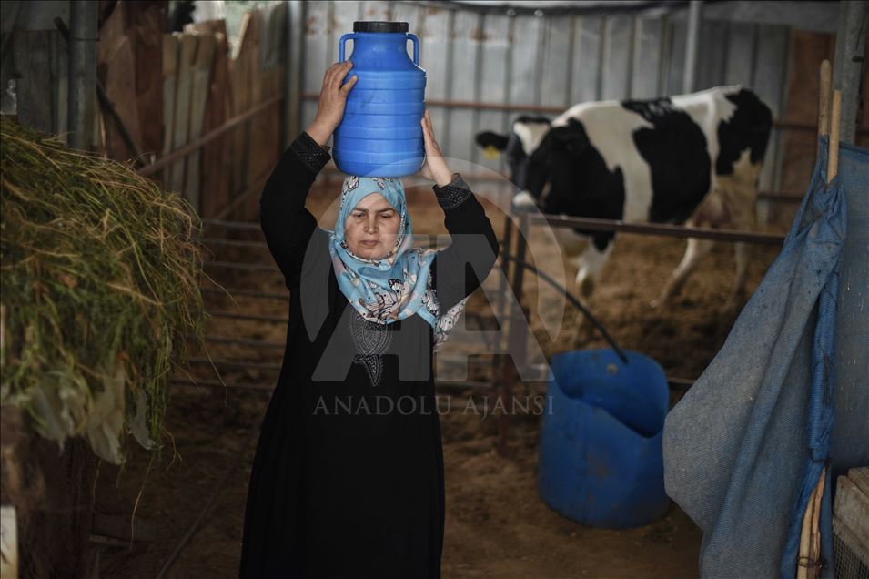 International Women's Day in Gaza