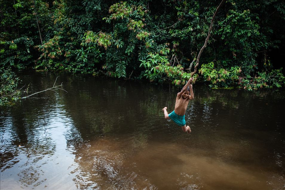 Kolombiya Leticia'daki Amazon Havzası