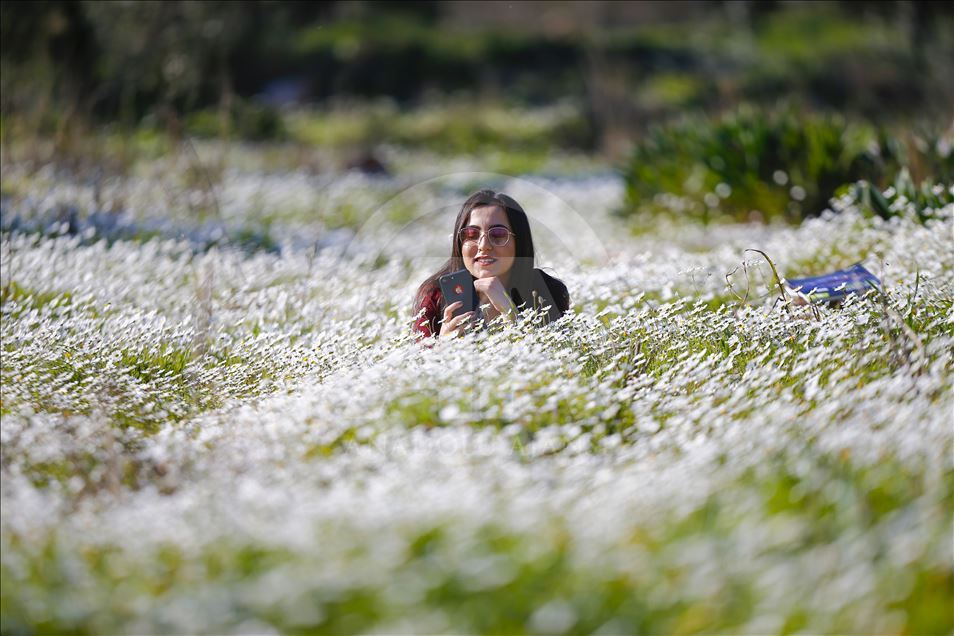 ربيع أنطاليا التركية عباءة تتألق بجمال استثنائي
