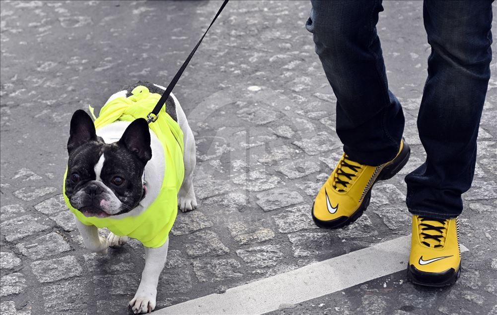 17th Yellow vest demonstration in Paris