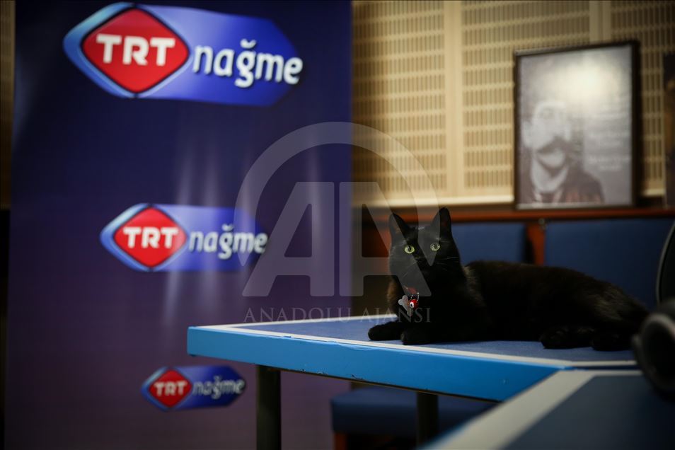 TRT İstanbul Radyosunun "Gece"si
