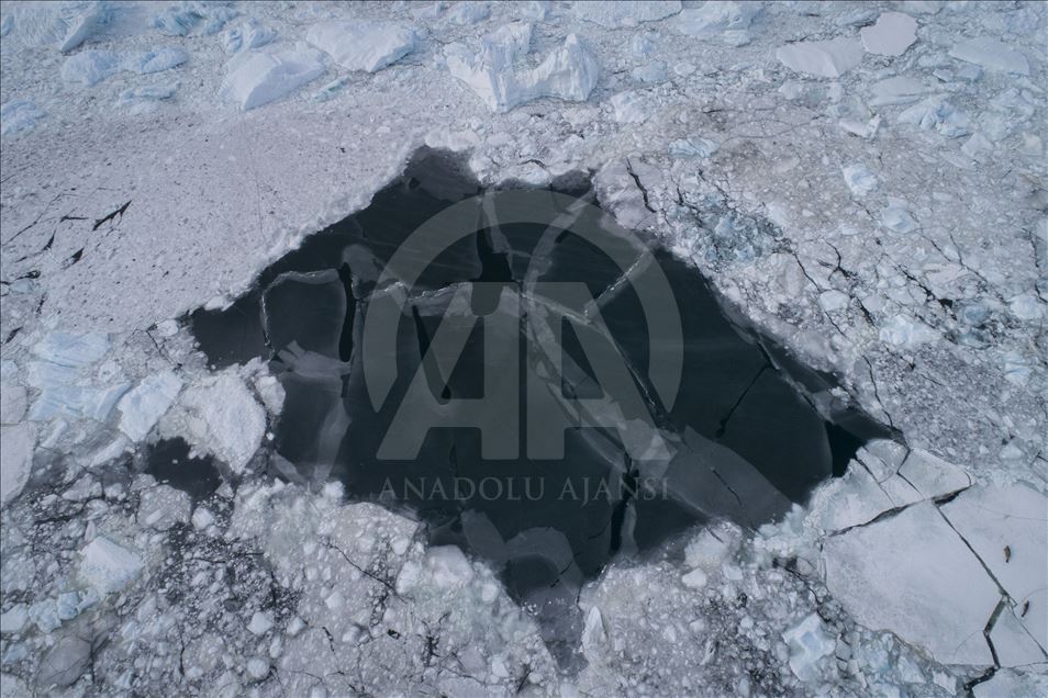 Antarctica: The White Continent