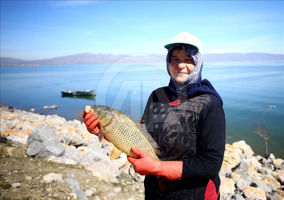 بحيرة "سوغلا" التركية.. وفرة الأسماك تسعد الصيادين وعائلاتهم