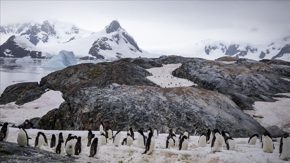 Antarctica: The White Continent