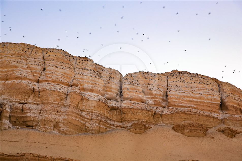 Wadi al Hitan, el desierto de las ballenas en Egipto
