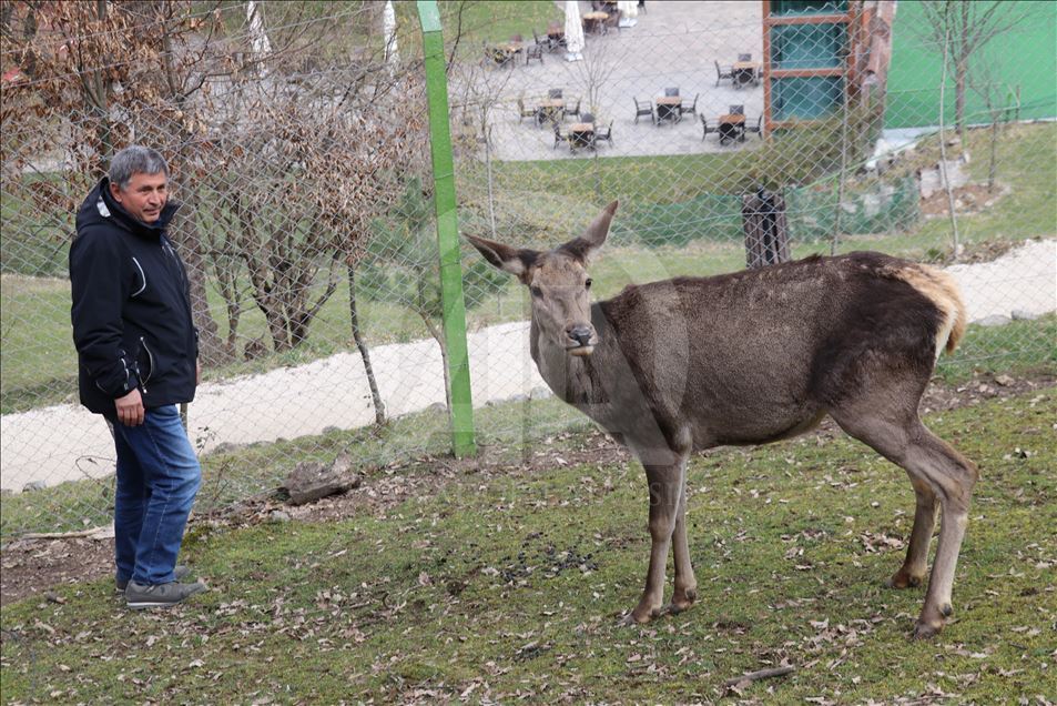 Otelin yanındaki araziyi "doğal yaşam parkı" yaptı