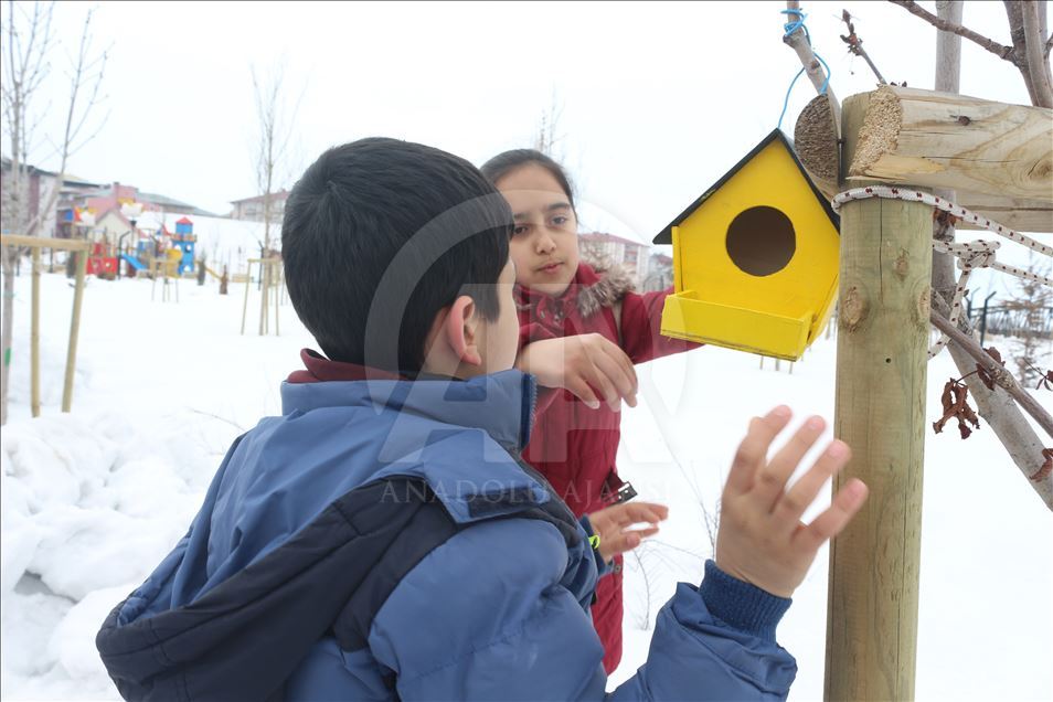 تهیه لانه گرم برای پرندگان توسط کودکان شرق ترکیه