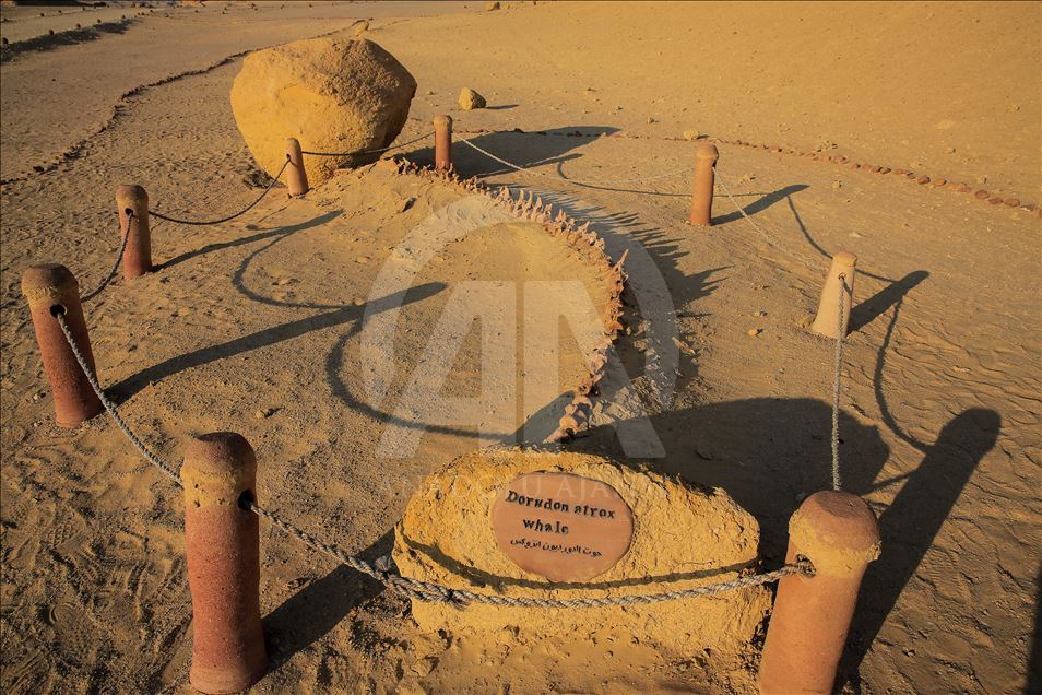 Wadi El Hitan in Egypt's Faiyum