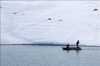 Qeşaya golê heliya, masîgir masiyan digrin