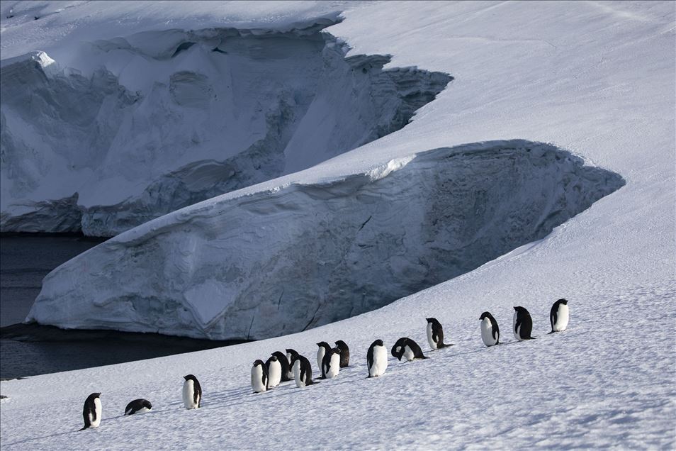 Beyaz kıta Antarktika