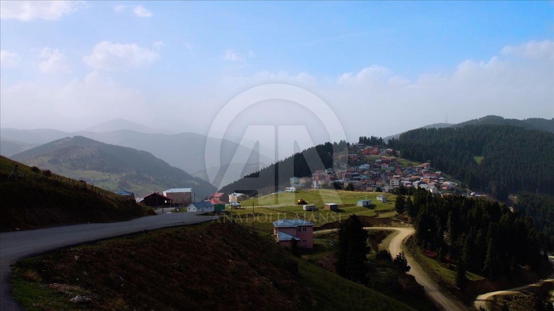 Karadeniz'de yolculuk yeşile dönüyor