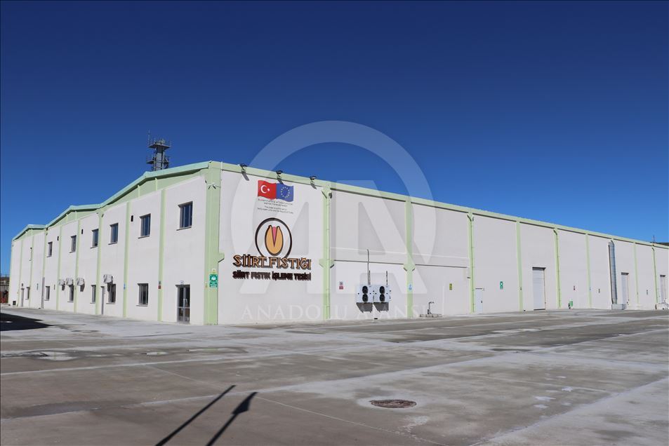 Siirt fıstığı dünyaya açılıyor