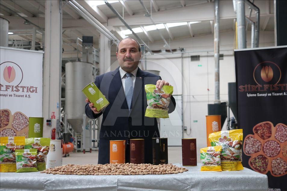 Siirt fıstığı dünyaya açılıyor