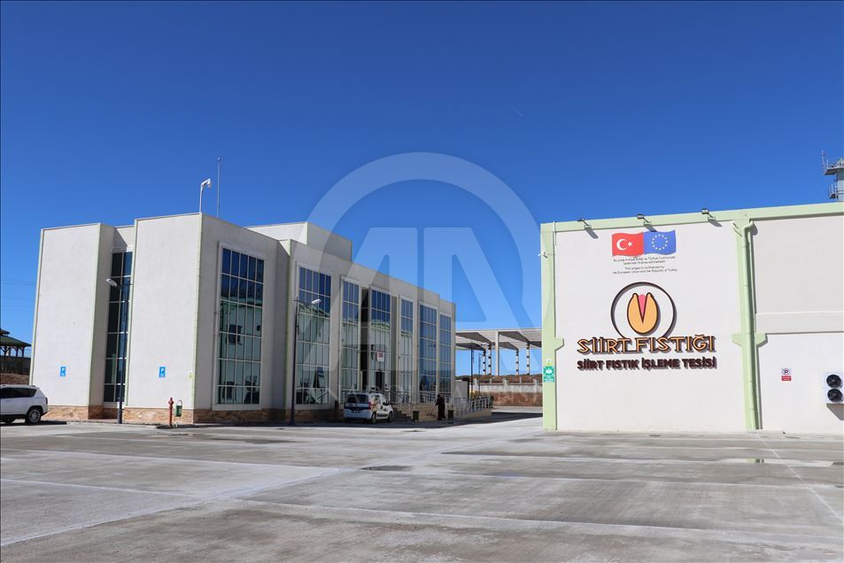 Siirt fıstığı dünyaya açılıyor