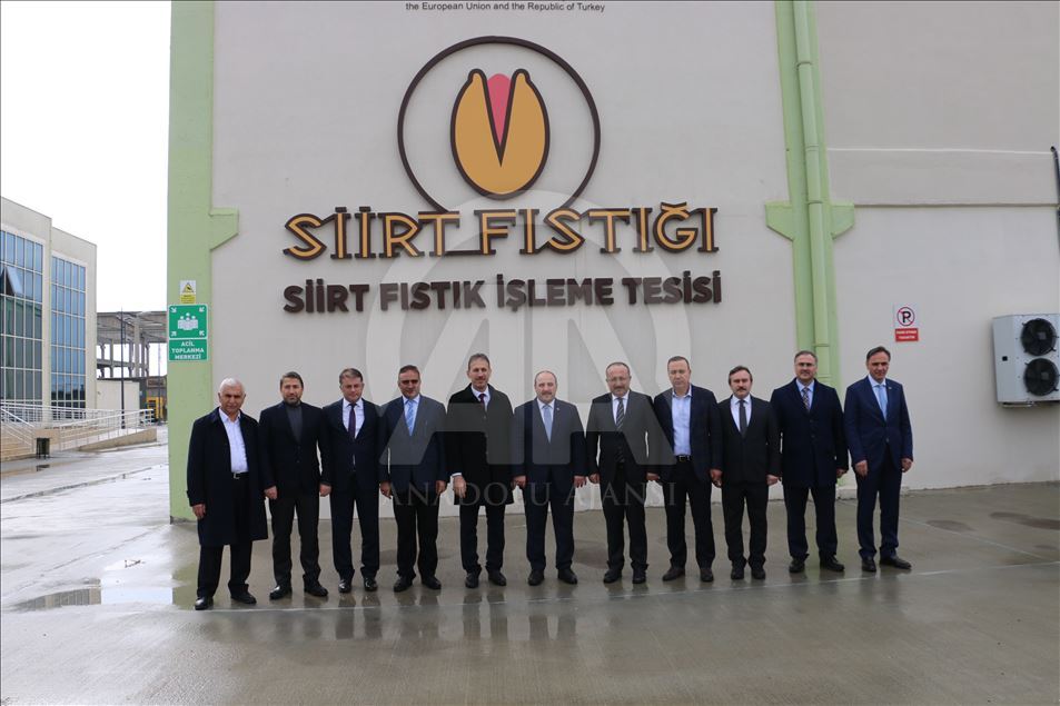 Siirt fıstığı dünyaya açılıyor