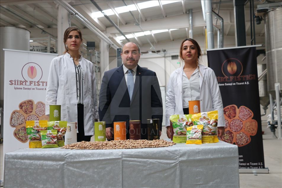 Siirt fıstığı dünyaya açılıyor