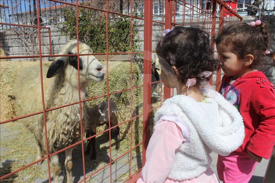 Karapınarda Nevruz