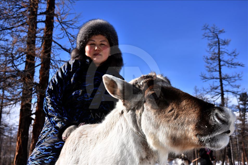 Así viven los turcos duhka en Mongolia