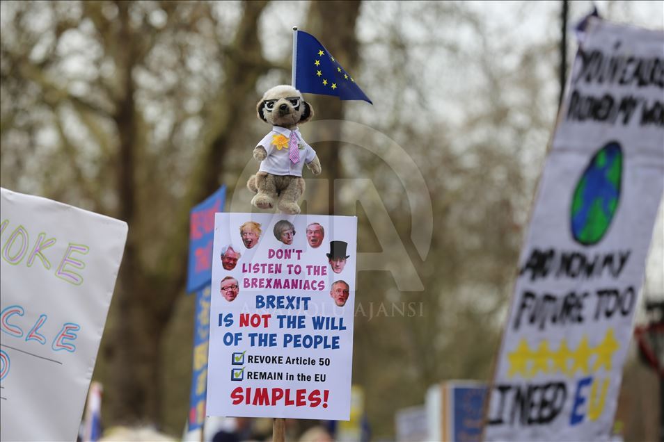 Anti Brexit activists demonstration in London