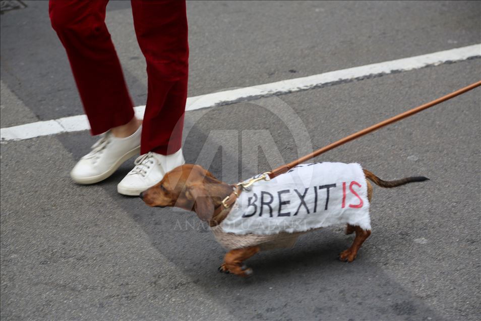 Manifestación contra el Brexit en Londres
