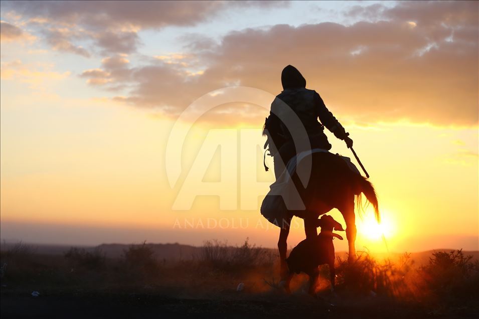 Mounted shepherds in Turkey's Konya