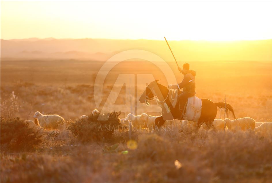 Mounted shepherds in Turkey's Konya
