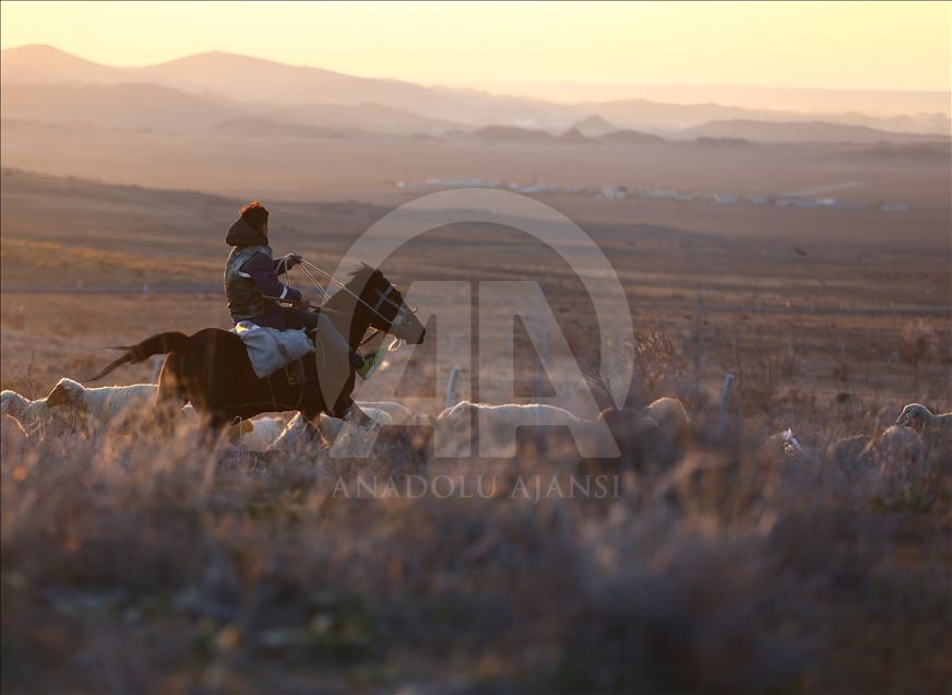 Mounted shepherds in Turkey's Konya
