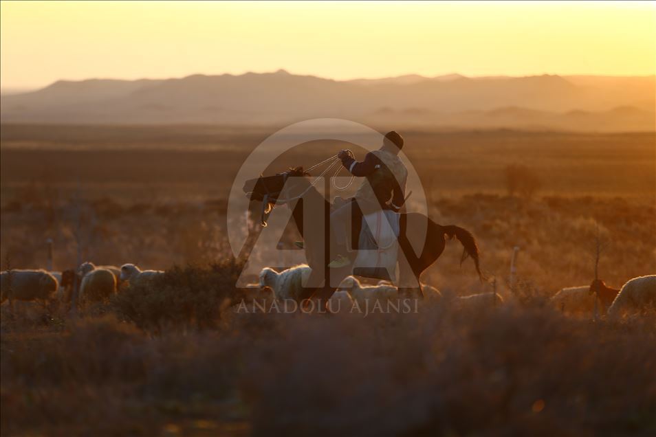 Mounted shepherds in Turkey's Konya