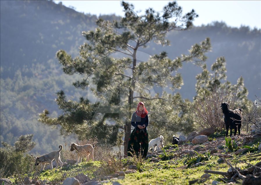 Nomadic Turks of Anatolia: Sarikecili Yoruks