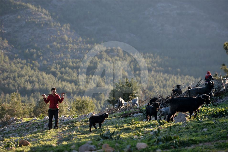 Nomadic Turks of Anatolia: Sarikecili Yoruks