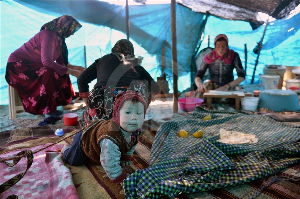 Nomadic Turks of Anatolia: Sarikecili Yoruks