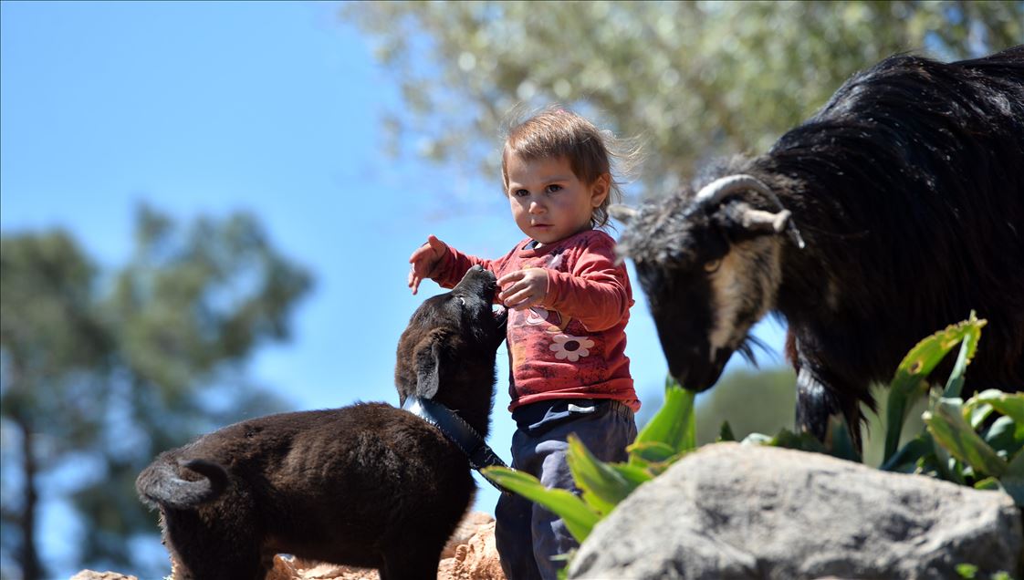 Nomadic Turks of Anatolia: Sarikecili Yoruks