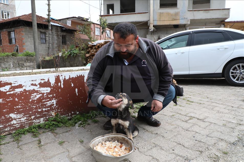 Shpëtuesi i qenit në Turqi: Nuk munda të qëndroj duarkryq