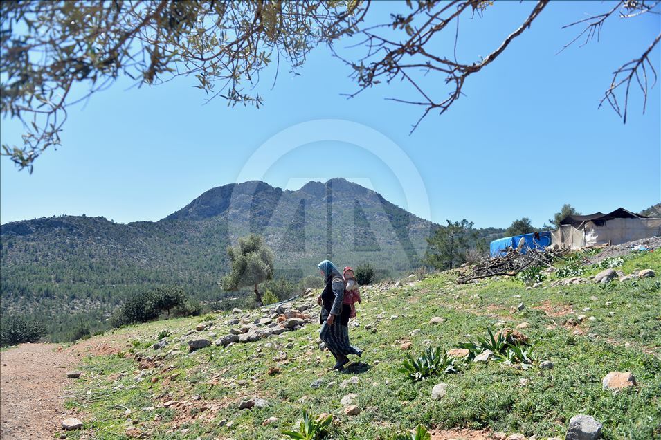 Nomadic Turks of Anatolia: Sarikecili Yoruks
