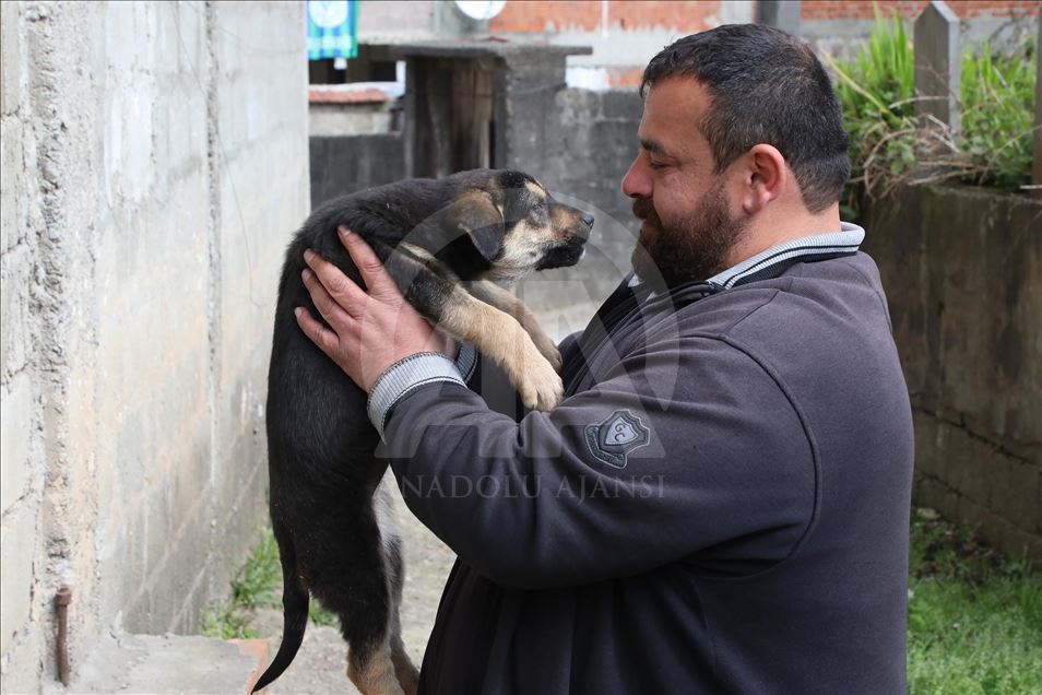 Dog rescued by massage and artificial respiration in Turkey's Rize