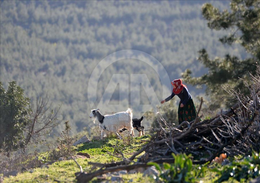 Los 'Yoruks', el pueblo nómada turco se prepara para emprender un nuevo viaje