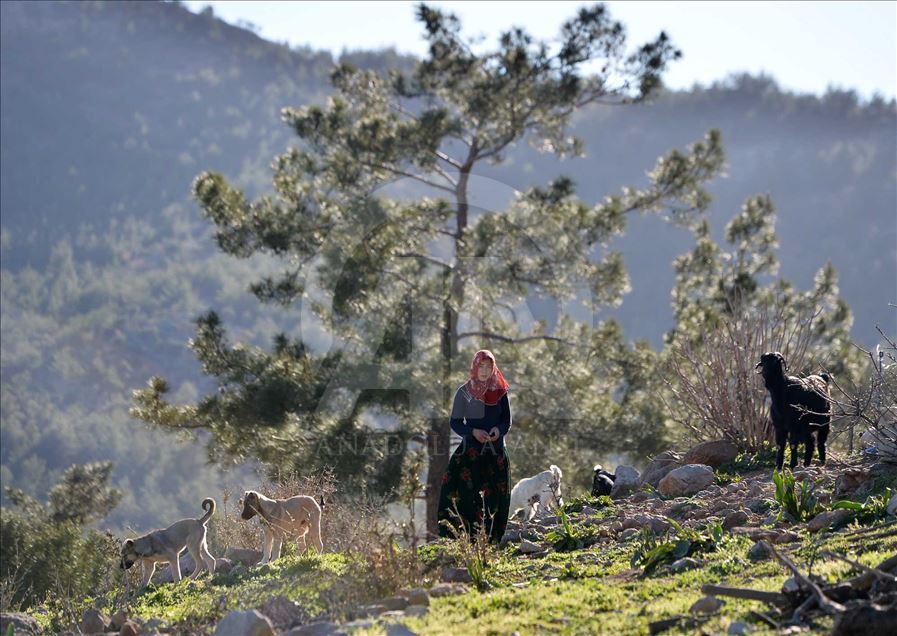 Los 'Yoruks', el pueblo nómada turco se prepara para emprender un nuevo viaje