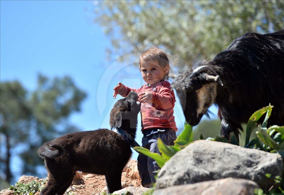 Los 'Yoruks', el pueblo nómada turco se prepara para emprender un nuevo viaje