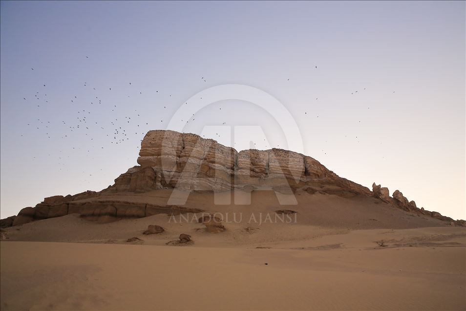 وادي الحيتان.. "سحر" يحكي قصة ملايين السنين بمصر