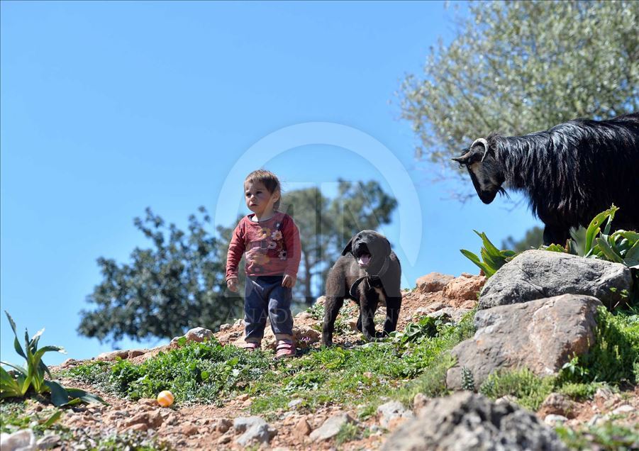 Los 'Yoruks', el pueblo nómada turco se prepara para emprender un nuevo viaje