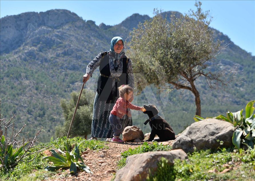 Los 'Yoruks', el pueblo nómada turco se prepara para emprender un nuevo viaje