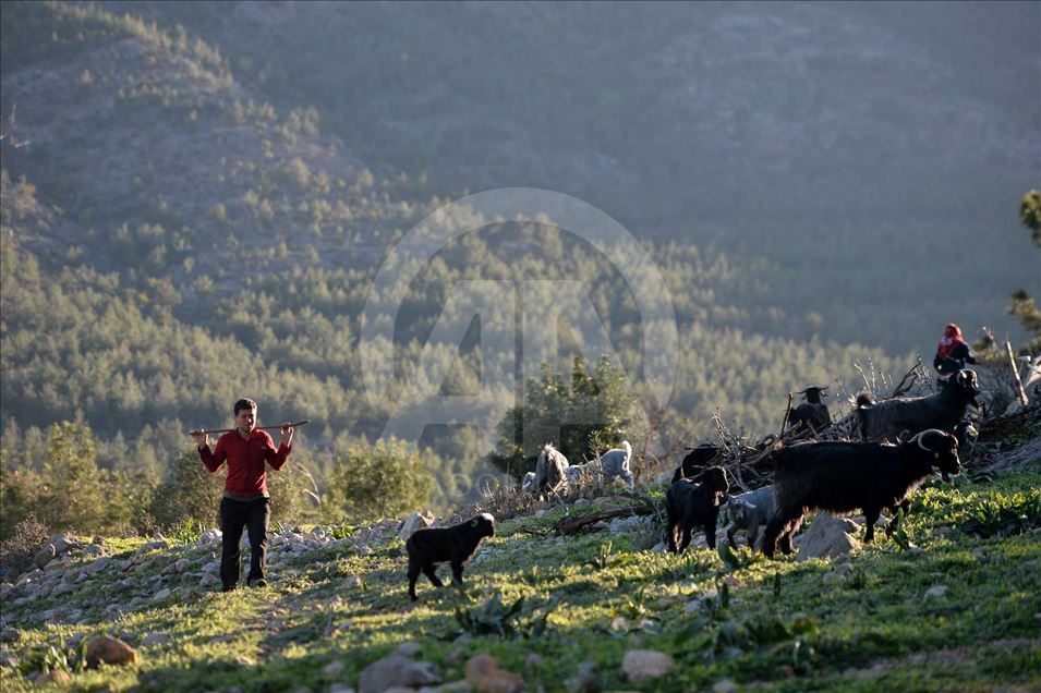 Los 'Yoruks', el pueblo nómada turco se prepara para emprender un nuevo viaje