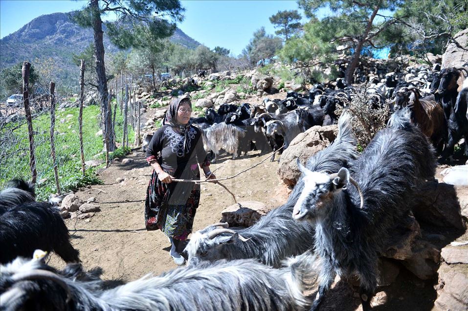 Los 'Yoruks', el pueblo nómada turco se prepara para emprender un nuevo viaje