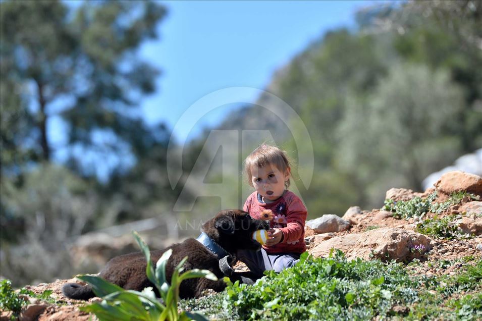 Los 'Yoruks', el pueblo nómada turco se prepara para emprender un nuevo viaje